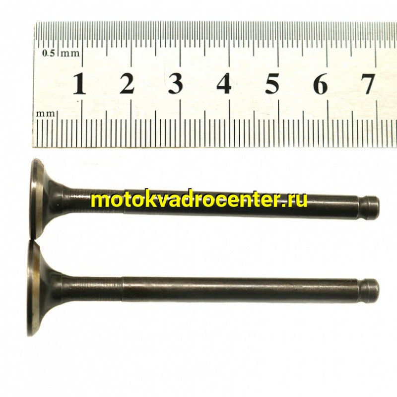 Купить  Клапан 139FMB, 152QMI (впуск/выпуск) (D-18mm, d-16mm, L-69mm, l-68mm, T-5mm, t-5mm)Delta, Alpha, Альфа Leo 125 и др (пар) (MM 91422 (R1 (Дан купить с доставкой по Москве и России, цена, технические характеристики, комплектация фото  - motoserp.ru