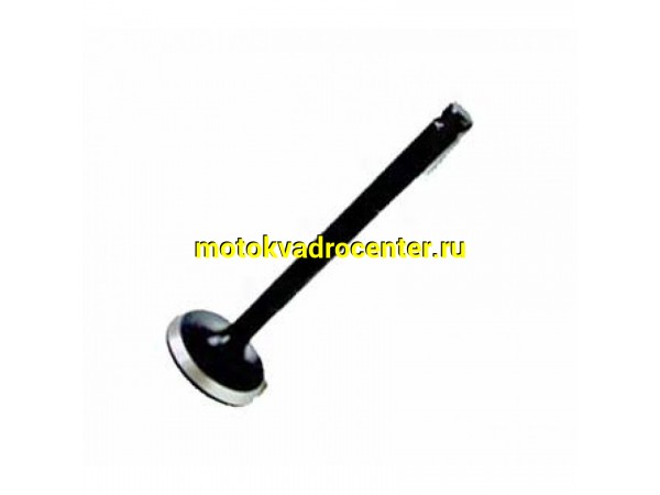 Купить  Клапан 139QMB выпуск D=16mm d=5mm L=64mm R50, Storm, Basic и др. (пар) купить с доставкой по Москве и России, цена, технические характеристики, комплектация фото  - motoserp.ru