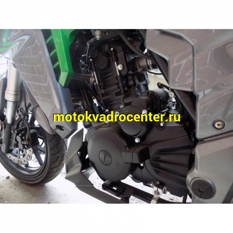 Купить  Мотоцикл REGULMOTO T-Leopard 300 (2022), 250cc, 4-хтакт., жидк. охлажд., диск/диск., 17"/17", аудиосистема (зал) (шт) купить с доставкой по Москве и России, цена, технические характеристики, комплектация фото  - motoserp.ru