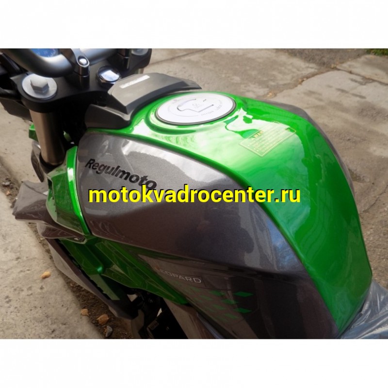 Купить  Мотоцикл REGULMOTO T-Leopard 300 (2022), 250cc, 4-хтакт., жидк. охлажд., диск/диск., 17"/17", аудиосистема (зал) (шт) купить с доставкой по Москве и России, цена, технические характеристики, комплектация фото  - motoserp.ru