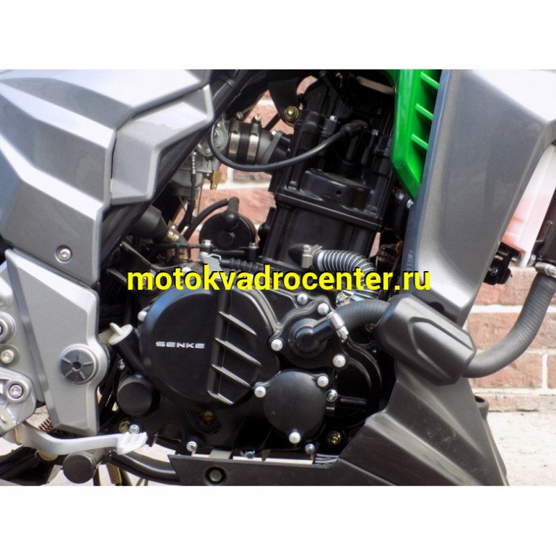 Купить  Мотоцикл REGULMOTO T-Leopard 300 (2022), 250cc, 4-хтакт., жидк. охлажд., диск/диск., 17"/17", аудиосистема (зал) (шт) купить с доставкой по Москве и России, цена, технические характеристики, комплектация фото  - motoserp.ru