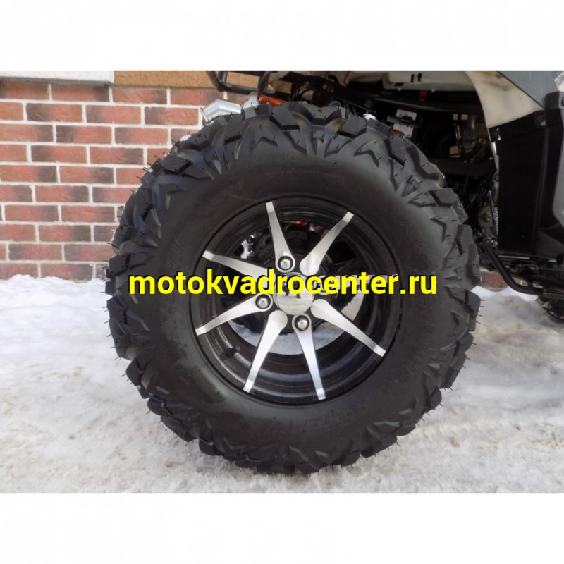 Купить  250cc Квадроцикл GRIZZLY 250 КАРДАН (Гризли 250) 250сс, утил.,мех.КПП, КАРДАН! ,жидк.охл!, диск./диск, литые 12"/12"! лебедка! приборы (шт) (Li-Ya купить с доставкой по Москве и России, цена, технические характеристики, комплектация фото  - motoserp.ru