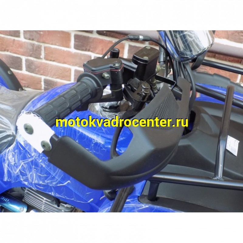 Купить  250cc Квадроцикл GRIZZLY 250 ЦЕПЬ (Гризли 250) 250сс, утил.,мех. КПП, возд.охл.,диск./диск, литые 10"/10", повороты, зеркала, спидом (шт) (Li-Ya купить с доставкой по Москве и России, цена, технические характеристики, комплектация фото  - motoserp.ru