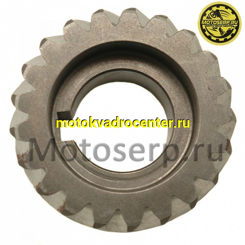 Купить  Шестерня ведущая коленвала 1E66MM GR7 двиг. MT-250 2T OEM (шт) (SM 020337-020-3022 купить с доставкой по Москве и России, цена, технические характеристики, комплектация фото  - motoserp.ru