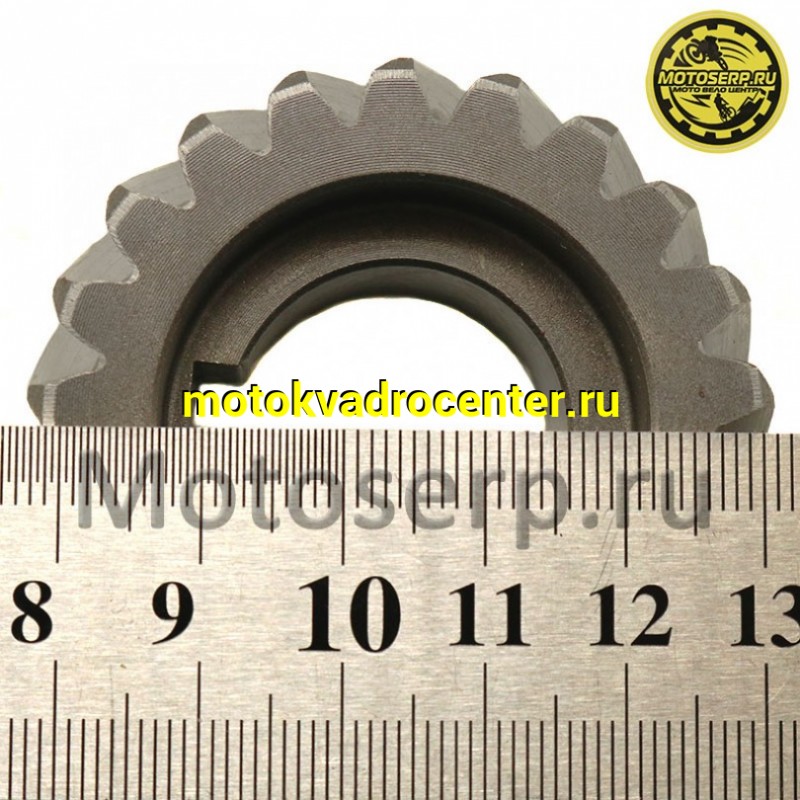 Купить  Шестерня ведущая коленвала 1E66MM GR7 двиг. MT-250 2T OEM (шт) (SM 020337-020-3022 купить с доставкой по Москве и России, цена, технические характеристики, комплектация фото  - motoserp.ru