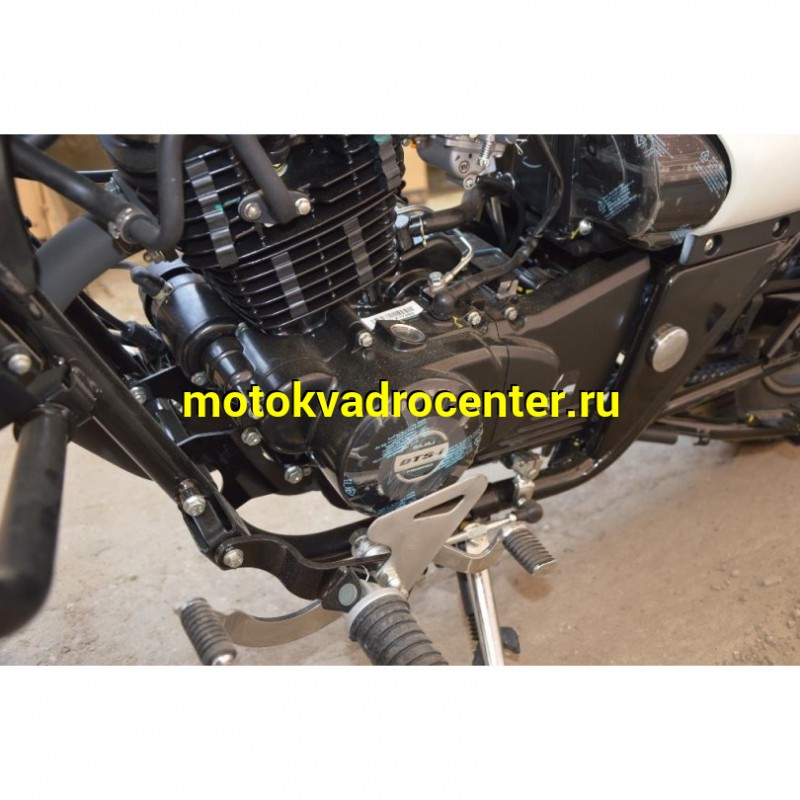 Купить  Мотоцикл BAJAJ Avenger 220 Cruise  4Т., 219.89 сс, 17"/15", возд.-масл. охлажд. цвет черный  (зал) (шт)  купить с доставкой по Москве и России, цена, технические характеристики, комплектация фото  - motoserp.ru