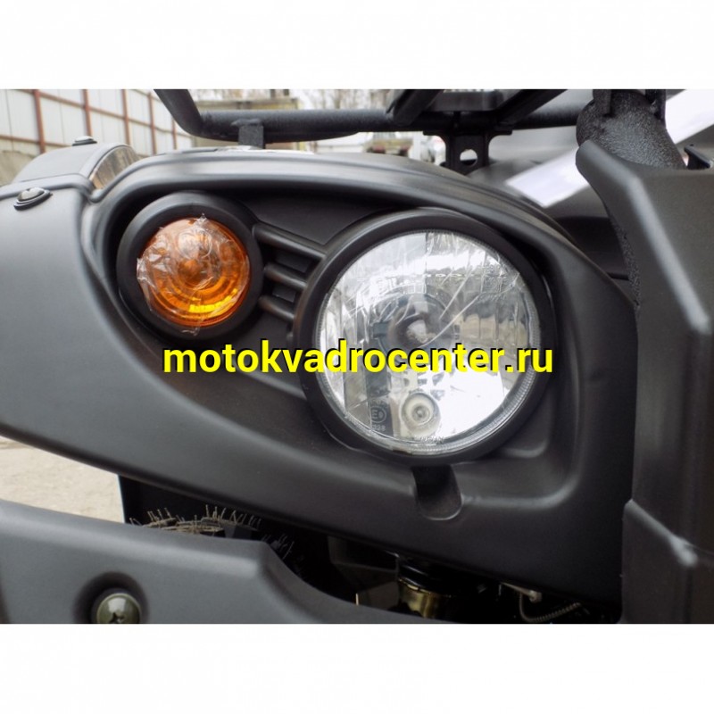 Купить  500сс Квадроцикл BALTMOTORS BM500 EFI (ЭПТС) цвет камуфляж, утилит. 4х4, 491сс ; механ. с вариат; реверс , лебедка, фарк, спинка (шт) (BL купить с доставкой по Москве и России, цена, технические характеристики, комплектация фото  - motoserp.ru