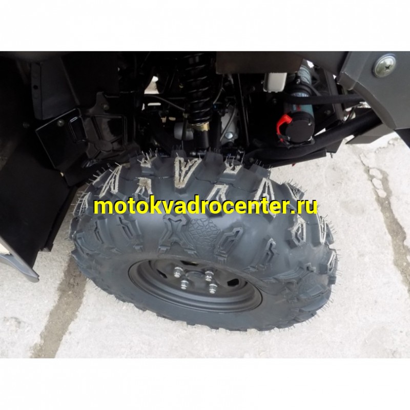 Купить  500сс Квадроцикл BALTMOTORS BM500 EFI (ЭПТС) цвет камуфляж, утилит. 4х4, 491сс ; механ. с вариат; реверс , лебедка, фарк, спинка (шт) (BL купить с доставкой по Москве и России, цена, технические характеристики, комплектация фото  - motoserp.ru