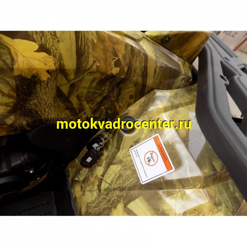 Купить  200cc Квадроцикл Motoland WILD TRACK 200 X 200сс, утилит., обновл. дизайн, ножн. диск тормоз, литые колеса 10",  (шт) (ML 14240 купить с доставкой по Москве и России, цена, технические характеристики, комплектация фото  - motoserp.ru