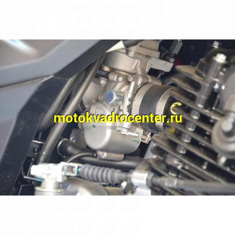 Купить  Мотоцикл BAJAJ Pulsar NS180 ( Баджаж Пульсар 180)  180сс,4Т.,возд.охл.,карбюр.,кол.17"/17"(зал) (шт) купить с доставкой по Москве и России, цена, технические характеристики, комплектация фото  - motoserp.ru