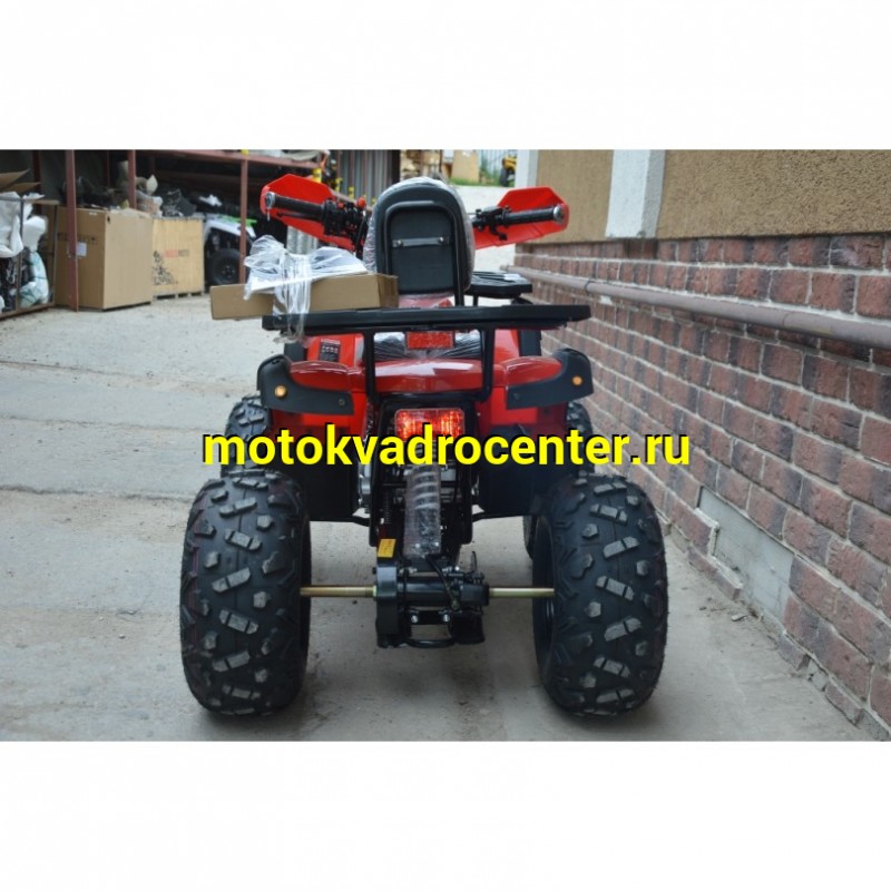 Купить  125cc Квадроцикл MILLENNIUM 125C (Милленниум) 125сс, утилит, 2х4, колеса 8", автомат, реверс, бар/диск, эл. панель  (шт) (ТехМаркет купить с доставкой по Москве и России, цена, технические характеристики, комплектация фото  - motoserp.ru