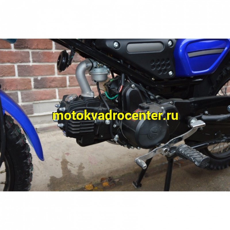 Купить  Мопед MM COLT2 (ALLOY) (Кольт-2 ALLOY) 50сс 4Т, в стиле Каферейсер на внедорожн. резине, колеса 17" Диск/Бараб (зал) (шт) 01100 (MM 76975 купить с доставкой по Москве и России, цена, технические характеристики, комплектация фото  - motoserp.ru