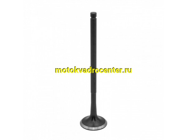 Купить  Клапан 174MN/177MM (выпуск) D=24, d=5, L=100 ZS174MN-3/ZS177MM (NC250) (шт)  (Regul 100200652 купить с доставкой по Москве и России, цена, технические характеристики, комплектация фото  - motoserp.ru