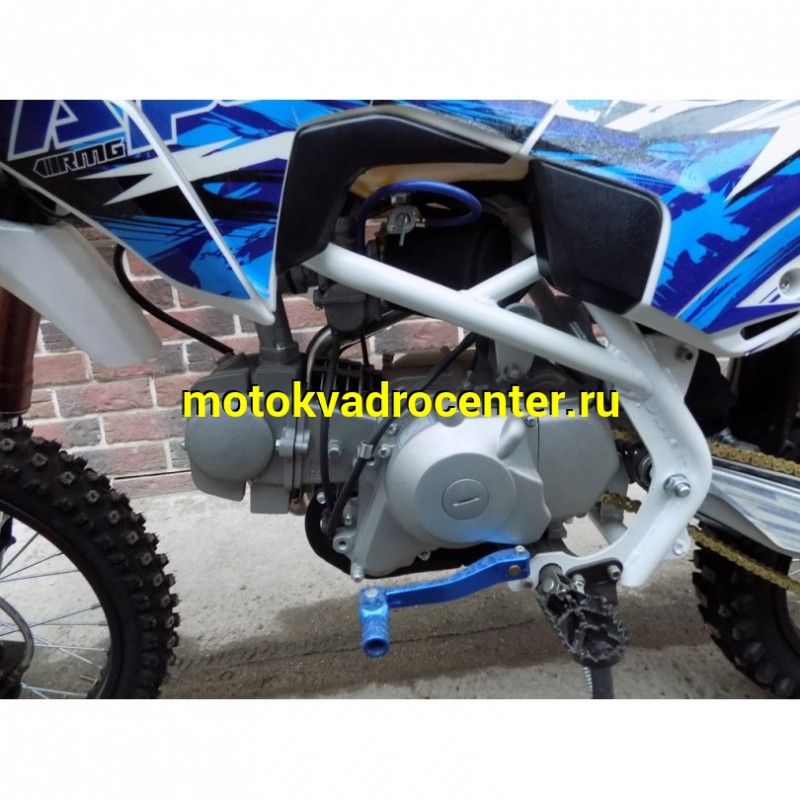 Купить  Питбайк Motoland APEX 125 Е (спортинв), 125сс, 17/14", Синий (Бер) (шт). (ML 15294 купить с доставкой по Москве и России, цена, технические характеристики, комплектация фото  - motoserp.ru