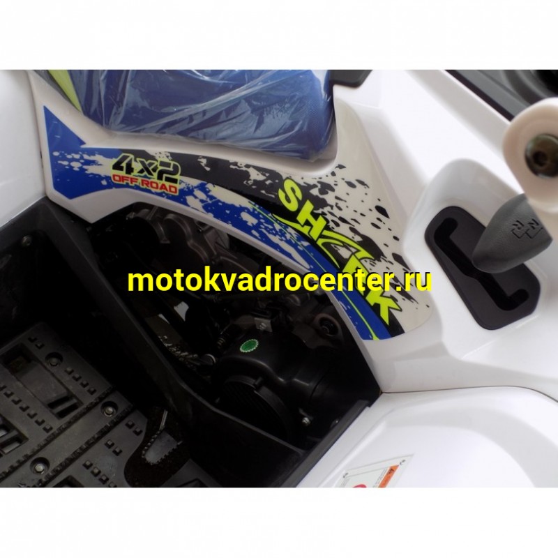 Купить  200cc Квадроцикл Motoland SHARK 200 200сс лебедка, ангельские глазки, линзы, спинка, рычаг перек. на баке и пр. (Mikilon) (шт) (ML 17336 купить с доставкой по Москве и России, цена, технические характеристики, комплектация фото  - motoserp.ru