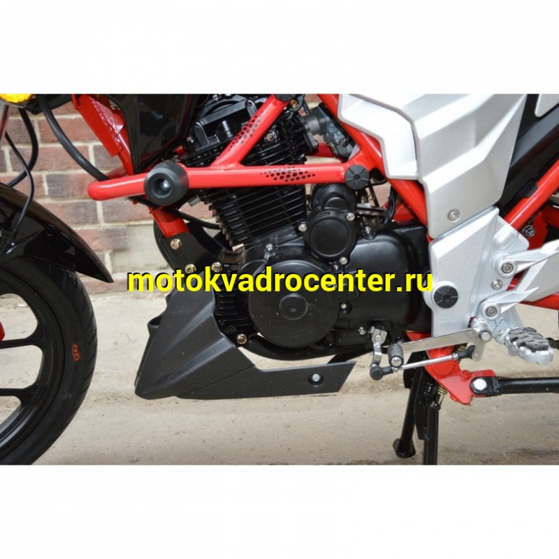 Купить  Мотоцикл Regulmoto Raptor new (Регулмото Раптор нью) 250сс,4Т ,возд.охл.,торм. диск/диск,,кол. 17"/17" (шт) (Regul купить с доставкой по Москве и России, цена, технические характеристики, комплектация фото  - motoserp.ru