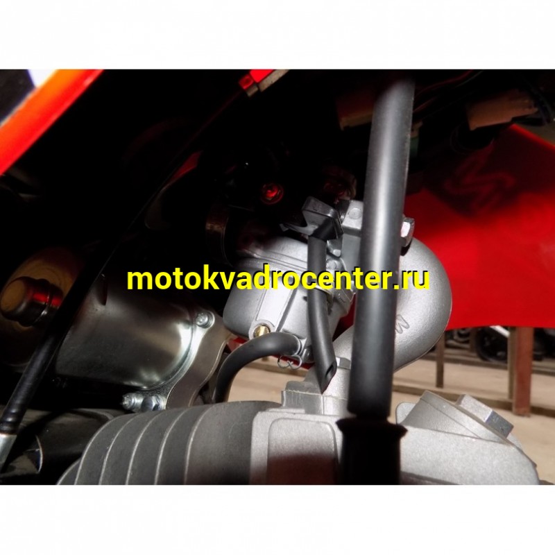 Купить  Мопед / питбайк Vento PitBike-50E LUX, 17/14, 49cc, 139FMB, фара/повор/стоп/зеркала, кик+электр., КПП 1-N-2-3-4  (шт) 01250 купить с доставкой по Москве и России, цена, технические характеристики, комплектация фото  - motoserp.ru