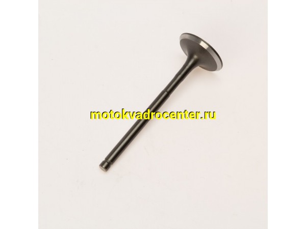 Купить  Клапан 163QMK (впуск) с баланс. валом D=27, d=5, L=82mm  (шт) (AVANTIS 18527 купить с доставкой по Москве и России, цена, технические характеристики, комплектация фото  - motoserp.ru