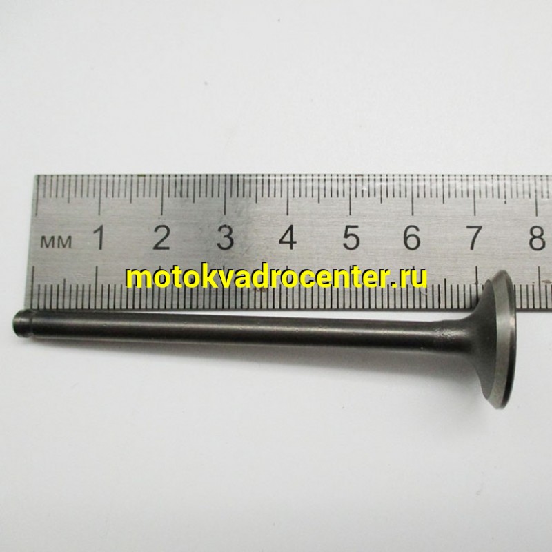 Купить  Клапан Honda AF56 4T (впуск/выпуск) (D-20mm d-16mm, L-74mm, t-73mm T-4.5mm) &quot;SEE&quot; (TW) (пар) (К-дар 2100381 купить с доставкой по Москве и России, цена, технические характеристики, комплектация фото  - motoserp.ru