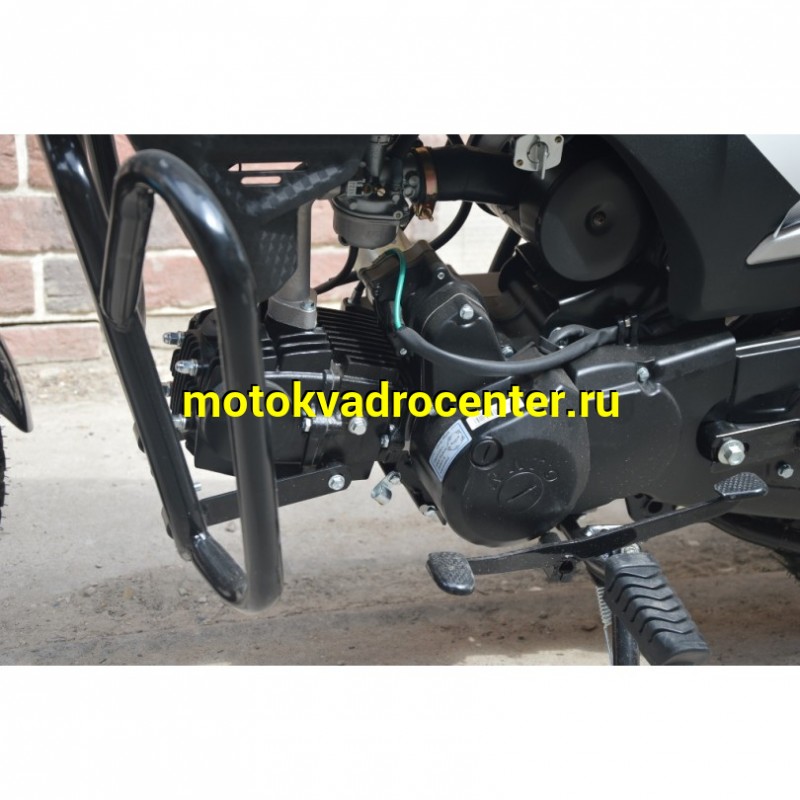 Купить  Мопед RATO Alpha Warrior 50 (Варриор) 4Т, LED светотехника, длинная база, кол 17", диск/бараб, эл/кик старт.  (шт) 01250 (P.moto (Хар (0 купить с доставкой по Москве и России, цена, технические характеристики, комплектация фото  - motoserp.ru