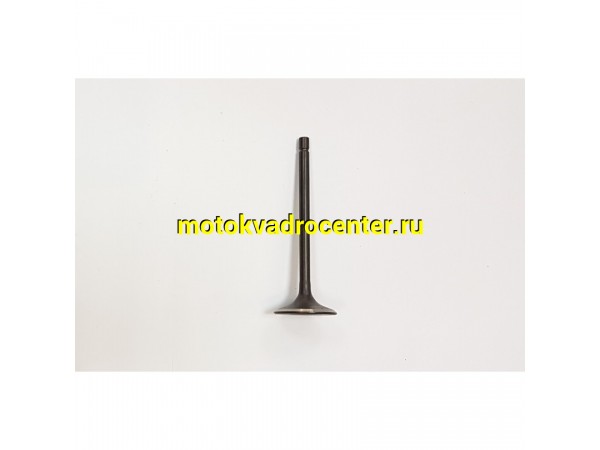 Купить  Клапан 161FMJ (впуск) D=31, d=5, L=91,5mm BSE ZS (шт) (Велос 15701-J025-0000 купить с доставкой по Москве и России, цена, технические характеристики, комплектация фото  - motoserp.ru