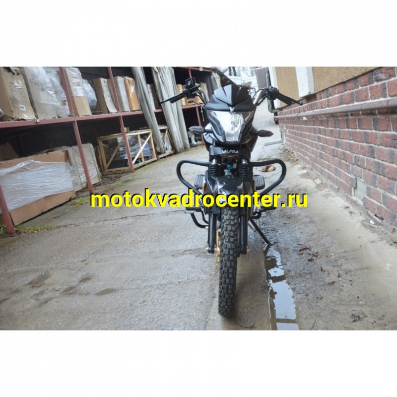 Купить  Мопед Alpha V  4Т; 50cc; колеса 17&quot;литые; 4пер, эл. старт;  (зал) (шт) 01250 (Глотов купить с доставкой по Москве и России, цена, технические характеристики, комплектация фото  - motoserp.ru