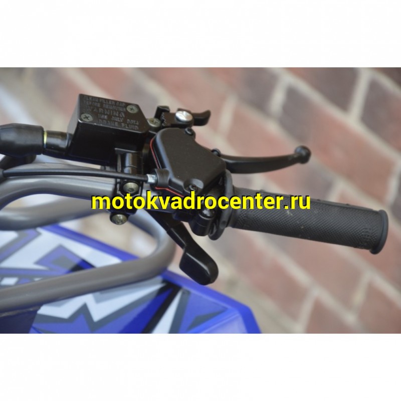 Купить  125cc Квадроцикл Regulmoto HAMMER 125, 125сс, утилит. 9-12 лет, кол.8" штамп, автомат, реверс, тормоза Диск/диск, и пр. (шт) (Regul 4001001-3 купить с доставкой по Москве и России, цена, технические характеристики, комплектация фото  - motoserp.ru