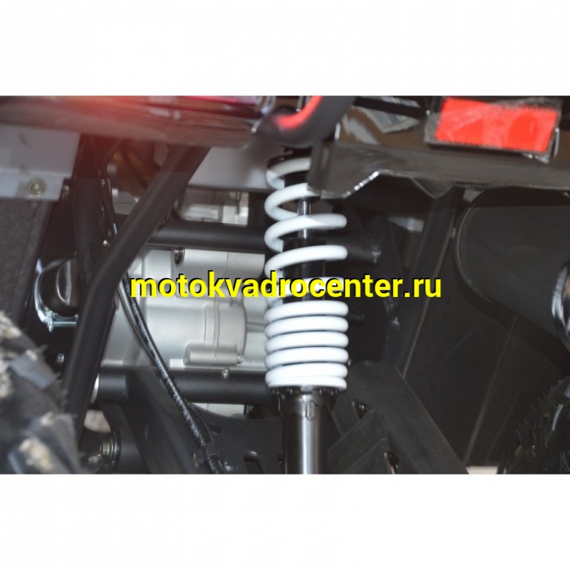 Купить  200cc Квадроцикл TaoTao Warrior 200 LUX (MILLENNIUM) 200сс, утилит, 2х4, колеса 10", автомат, реверс, (шт) (ТехМаркет купить с доставкой по Москве и России, цена, технические характеристики, комплектация фото  - motoserp.ru