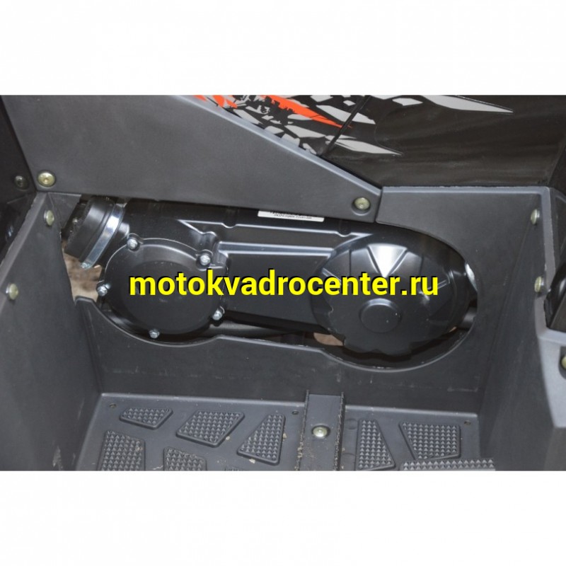 Купить  200cc Квадроцикл TaoTao Warrior 200 LUX (MILLENNIUM) 200сс, утилит, 2х4, колеса 10", автомат, реверс, (шт) (ТехМаркет купить с доставкой по Москве и России, цена, технические характеристики, комплектация фото  - motoserp.ru