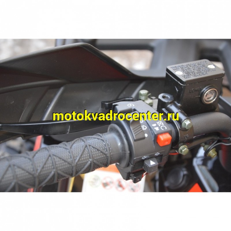 Купить  200cc Квадроцикл TaoTao Warrior 200 LUX (MILLENNIUM) 200сс, утилит, 2х4, колеса 10", автомат, реверс, (шт) (ТехМаркет купить с доставкой по Москве и России, цена, технические характеристики, комплектация фото  - motoserp.ru