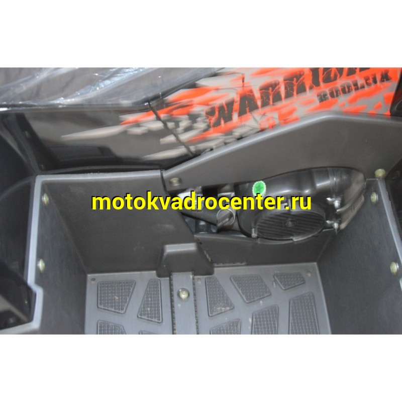 Купить  200cc Квадроцикл TaoTao Warrior 200 LUX (MILLENNIUM) 200сс, утилит, 2х4, колеса 10", автомат, реверс, (шт) (ТехМаркет купить с доставкой по Москве и России, цена, технические характеристики, комплектация фото  - motoserp.ru