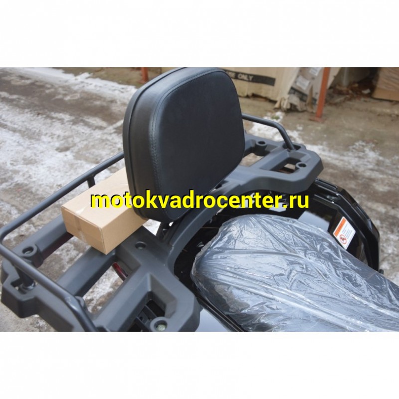 Купить  200cc Квадроцикл TaoTao Warrior 200 LUX (MILLENNIUM) 200сс, утилит, 2х4, колеса 10", автомат, реверс, (шт) (ТехМаркет купить с доставкой по Москве и России, цена, технические характеристики, комплектация фото  - motoserp.ru