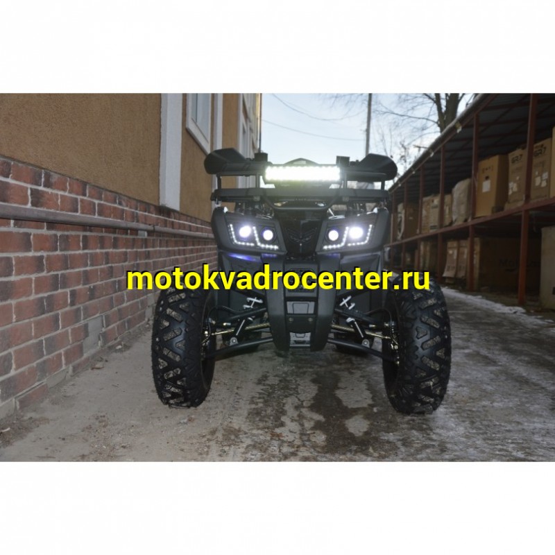 Купить  200cc Квадроцикл TaoTao Warrior 200 LUX (MILLENNIUM) 200сс, утилит, 2х4, колеса 10", автомат, реверс, (шт) (ТехМаркет купить с доставкой по Москве и России, цена, технические характеристики, комплектация фото  - motoserp.ru