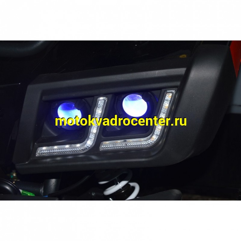 Купить  200cc Квадроцикл TaoTao Warrior 200 LUX (MILLENNIUM) 200сс, утилит, 2х4, колеса 10", автомат, реверс, (шт) (ТехМаркет купить с доставкой по Москве и России, цена, технические характеристики, комплектация фото  - motoserp.ru