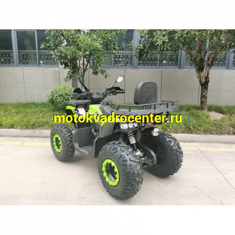 Купить  200cc Квадроцикл TaoTao Warrior 200 LUX (MILLENNIUM) 200сс, утилит, 2х4, колеса 10", автомат, реверс, (шт) (ТехМаркет купить с доставкой по Москве и России, цена, технические характеристики, комплектация фото  - motoserp.ru