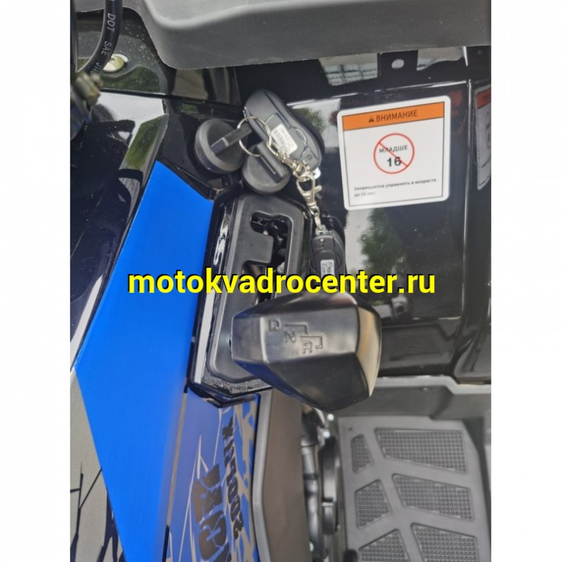 Купить  200cc Квадроцикл TaoTao Warrior 200 LUX (MILLENNIUM) 200сс, утилит, 2х4, колеса 10", автомат, реверс, (шт) (ТехМаркет купить с доставкой по Москве и России, цена, технические характеристики, комплектация фото  - motoserp.ru