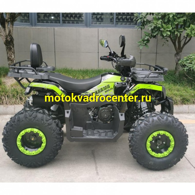 Купить  200cc Квадроцикл TaoTao Warrior 200 LUX (MILLENNIUM) 200сс, утилит, 2х4, колеса 10", автомат, реверс, (шт) (ТехМаркет купить с доставкой по Москве и России, цена, технические характеристики, комплектация фото  - motoserp.ru