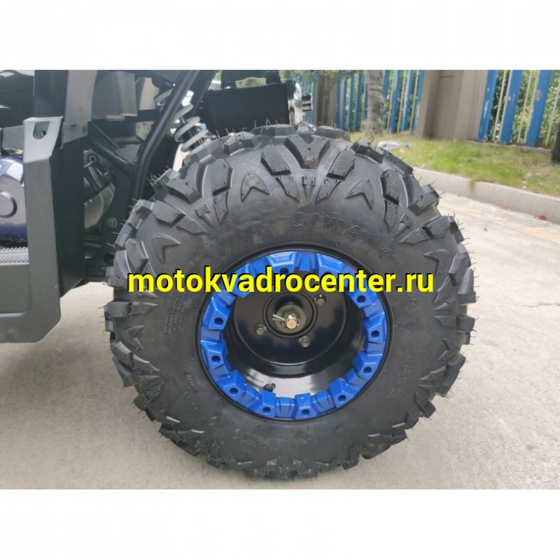 Купить  200cc Квадроцикл TaoTao Warrior 200 LUX (MILLENNIUM) 200сс, утилит, 2х4, колеса 10", автомат, реверс, (шт) (ТехМаркет купить с доставкой по Москве и России, цена, технические характеристики, комплектация фото  - motoserp.ru