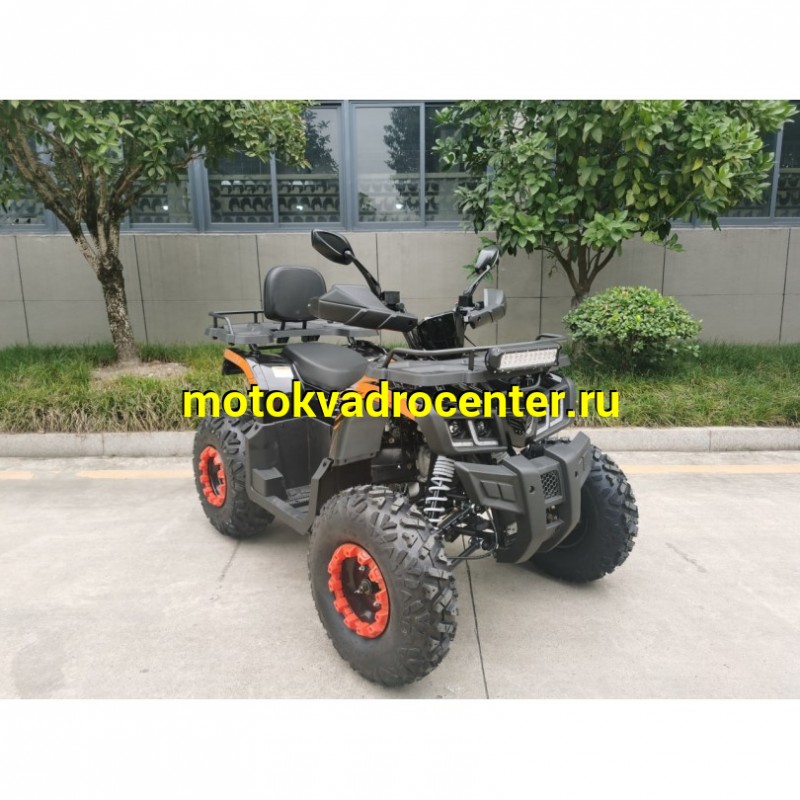 Купить  200cc Квадроцикл TaoTao Warrior 200 LUX (MILLENNIUM) 200сс, утилит, 2х4, колеса 10", автомат, реверс, (шт) (ТехМаркет купить с доставкой по Москве и России, цена, технические характеристики, комплектация фото  - motoserp.ru