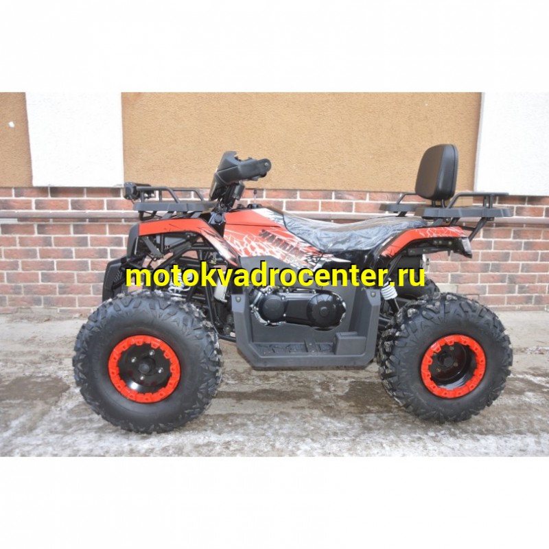 Купить  200cc Квадроцикл TaoTao Warrior 200 LUX (MILLENNIUM) 200сс, утилит, 2х4, колеса 10", автомат, реверс, (шт) (ТехМаркет купить с доставкой по Москве и России, цена, технические характеристики, комплектация фото  - motoserp.ru