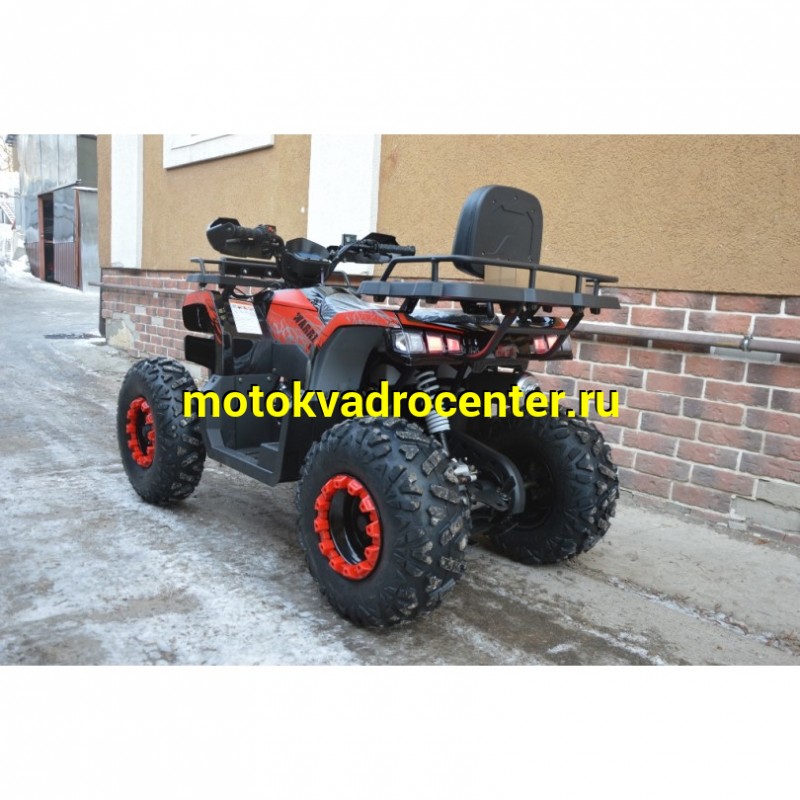 Купить  200cc Квадроцикл TaoTao Warrior 200 LUX (MILLENNIUM) 200сс, утилит, 2х4, колеса 10", автомат, реверс, (шт) (ТехМаркет купить с доставкой по Москве и России, цена, технические характеристики, комплектация фото  - motoserp.ru