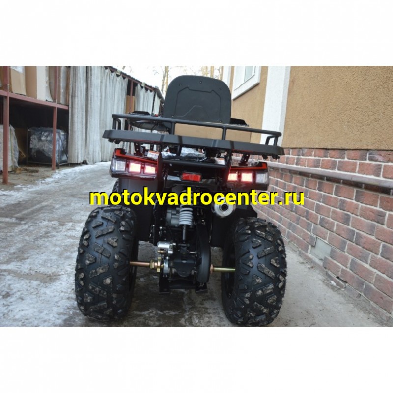 Купить  200cc Квадроцикл TaoTao Warrior 200 LUX (MILLENNIUM) 200сс, утилит, 2х4, колеса 10", автомат, реверс, (шт) (ТехМаркет купить с доставкой по Москве и России, цена, технические характеристики, комплектация фото  - motoserp.ru