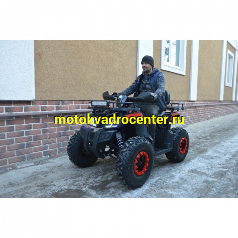 Купить  200cc Квадроцикл TaoTao Warrior 200 LUX (MILLENNIUM) 200сс, утилит, 2х4, колеса 10", автомат, реверс, (шт) (ТехМаркет купить с доставкой по Москве и России, цена, технические характеристики, комплектация фото  - motoserp.ru