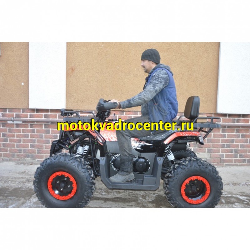 Купить  200cc Квадроцикл TaoTao Warrior 200 LUX (MILLENNIUM) 200сс, утилит, 2х4, колеса 10", автомат, реверс, (шт) (ТехМаркет купить с доставкой по Москве и России, цена, технические характеристики, комплектация фото  - motoserp.ru