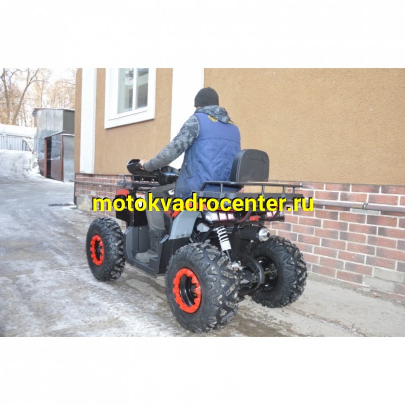 Купить  200cc Квадроцикл TaoTao Warrior 200 LUX (MILLENNIUM) 200сс, утилит, 2х4, колеса 10", автомат, реверс, (шт) (ТехМаркет купить с доставкой по Москве и России, цена, технические характеристики, комплектация фото  - motoserp.ru