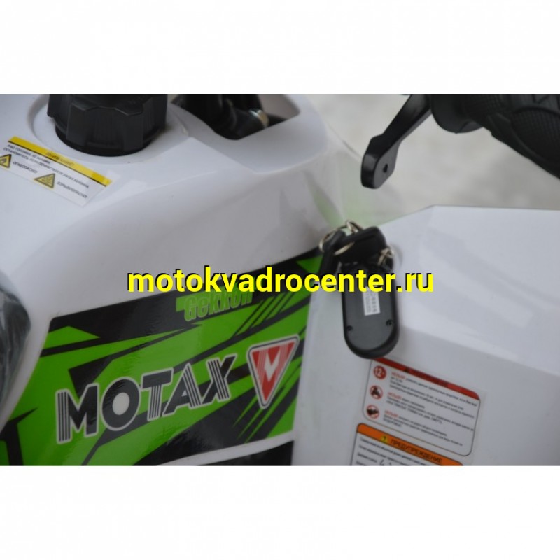 Купить  110cc Квадроцикл Motax GEKKON 90cc (110сс по факту, 50сс по маркировке) 1+1 (Реверс) (шт)  купить с доставкой по Москве и России, цена, технические характеристики, комплектация фото  - motoserp.ru