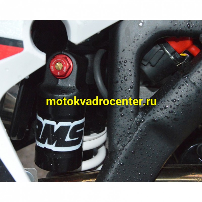 Купить  Мотоцикл Кросс/Эндуро Regulmoto CR-Z 300  GAS GAS (ЭПТС) 21/18,  (NB300) NB178MN-6 292сс, 4Т, Красный/черный (зал) (шт) (Regul 300001-1 купить с доставкой по Москве и России, цена, технические характеристики, комплектация фото  - motoserp.ru