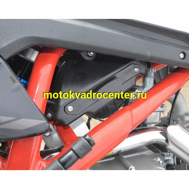 Купить  Питбайк Apollo Thunder 125cc 19/16" (спортинв) (шт) (Li-Ya  купить с доставкой по Москве и России, цена, технические характеристики, комплектация фото  - motoserp.ru