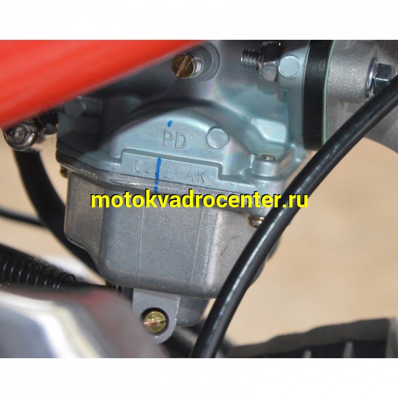 Купить  Питбайк Apollo Thunder 125cc 19/16" (спортинв) (шт) (Li-Ya  купить с доставкой по Москве и России, цена, технические характеристики, комплектация фото  - motoserp.ru