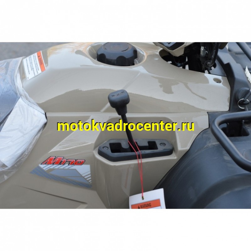 Купить  170cc Квадроцикл LINHAI YAMAHA М170 (шт) (Li-Ya купить с доставкой по Москве и России, цена, технические характеристики, комплектация фото  - motoserp.ru